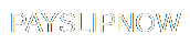 PAYSLIPNOW